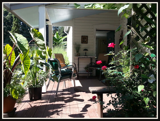 Liv IKS 2 O25 The deck.jpg